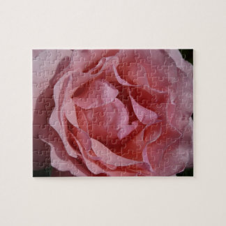 Pink Rose II Pretty Floral Jigsaw Puzzle