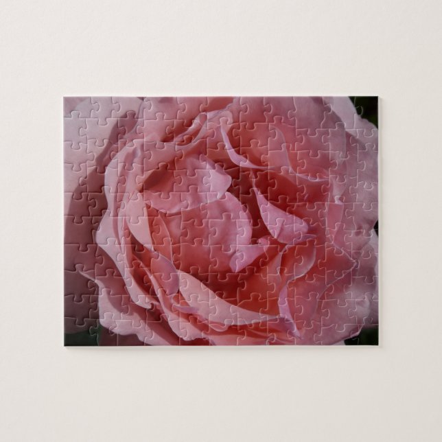 Pink Rose II Pretty Floral Jigsaw Puzzle (Horizontal)