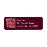 Pink Rose II Pretty Floral Label