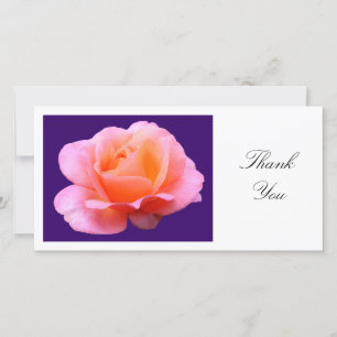 Pink Rose II - Thank You