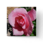 Pink Rose III Garden Floral Button