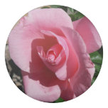 Pink Rose III Garden Floral Eraser