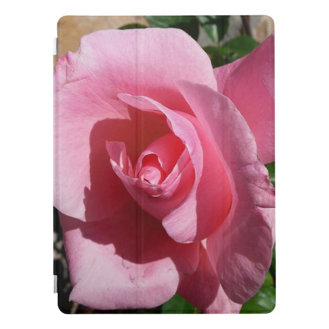 Pink Rose III Garden Floral iPad Pro Cover (Front)