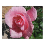 Pink Rose III Garden Floral Jigsaw Puzzle