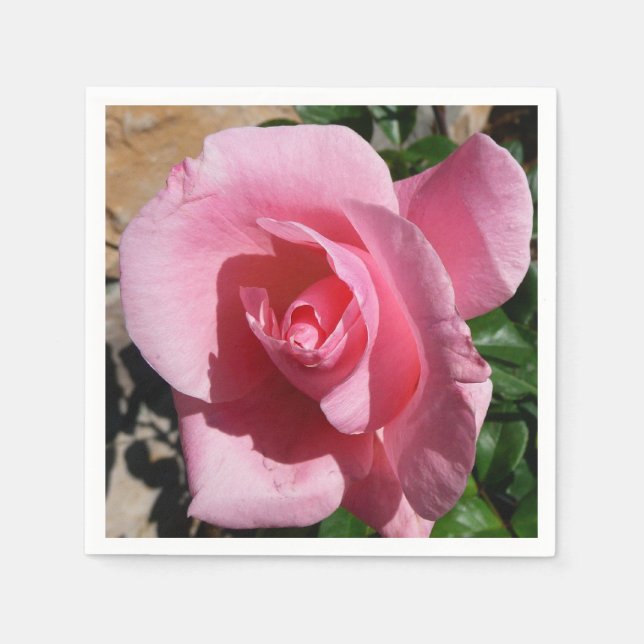 Pink Rose III Garden Floral Paper Napkins (Front)