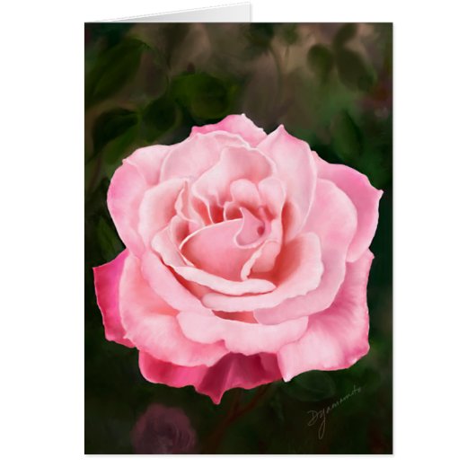 Pink Rose in Full Bloom Cards (Front)