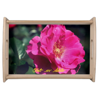 Pink Rose In Full Bloom Close Up Personalized Serving Tray