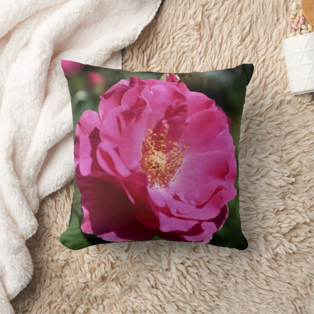 Pink Rose In Full Bloom Close Up  Throw Pillow (Blanket)