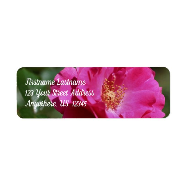 Pink Rose In Full Bloom Floral Address Label (Front)