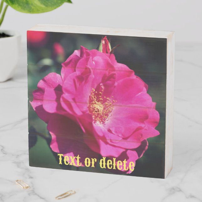Pink Rose In Full Bloom Personalized Wooden Box Sign (In Situ Horizontal)
