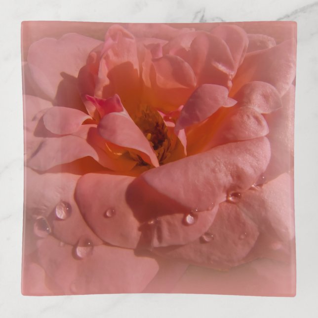 Pink Rose in rain drops closeup soft Pastel Trinket Tray (Front)
