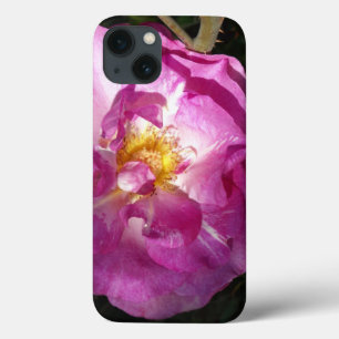 Pink Rose iPhone 6/6s, Tough Xtreme iPhone 13 Case