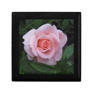 Pink Rose Keepsake Box
