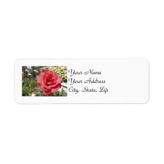 Pink Rose Label