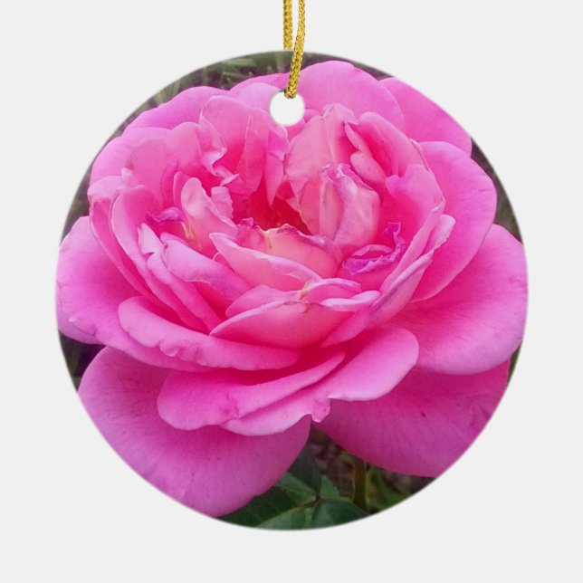 Pink Rose 'Leonardo Da Vinci'   Ceramic Ornament (Front)