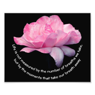 Pink Rose Life Attitude Quote Inspirational 8x10 Photo Print