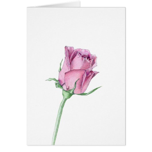 Pink Rose Love Card (Front)