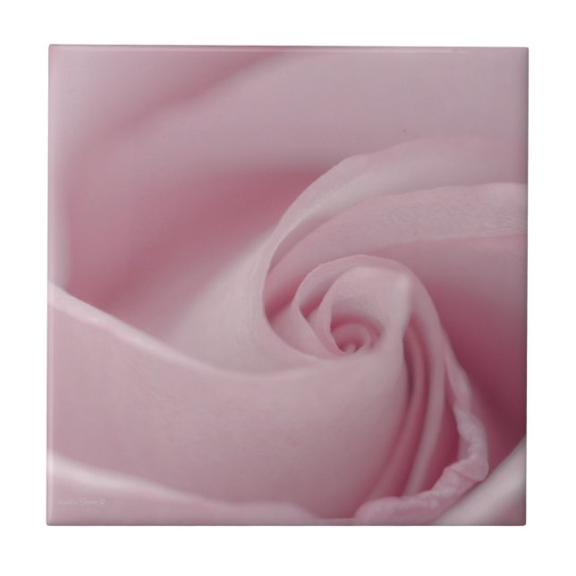 Pink Rose Macro Ceramic Tile (Front)