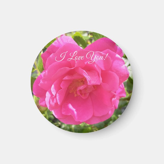 Pink Rose Magnet (Front)