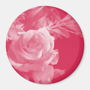 Pink Rose Magnet