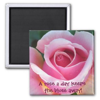 Pink Rose Magnet by ggbythebay at Zazzle