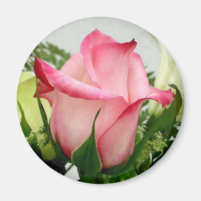 Pink rose magnet (Front)
