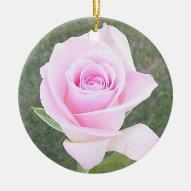 Pink Rose Memorial Ornament-2 Ceramic Ornament (Front)