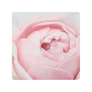 Pink Rose Metal Art