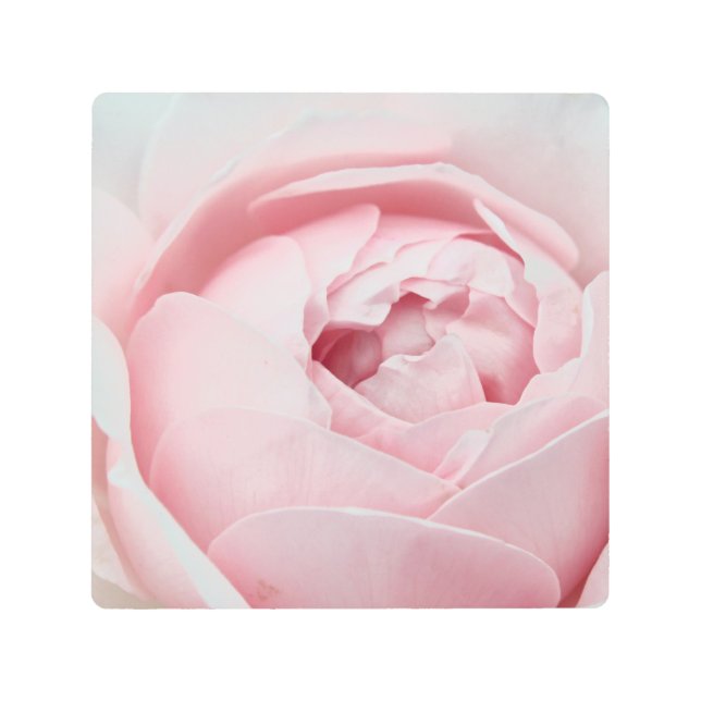 Pink Rose Metal Art (Front)