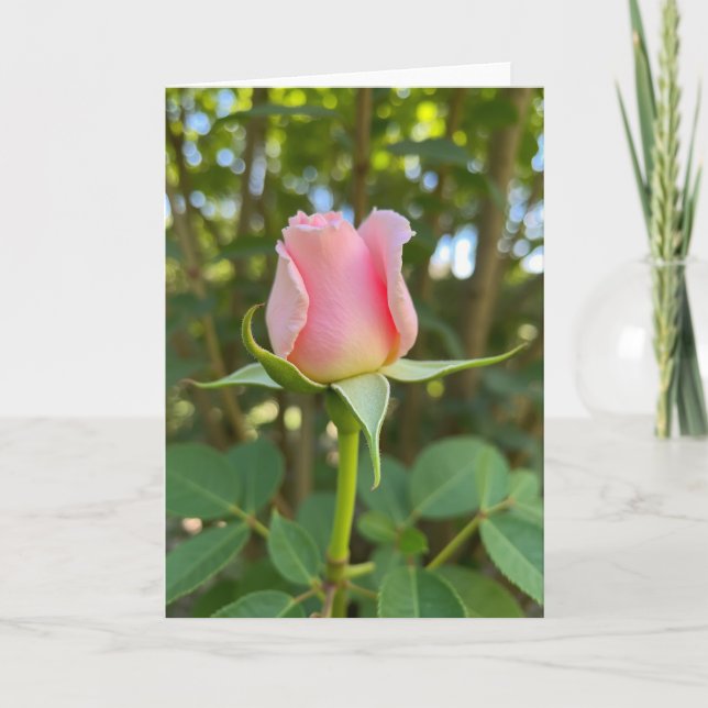 Pink Rose Mother Day Bloom Card (Front)