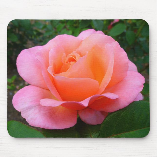 Pink Rose Mouse Pad (Front)