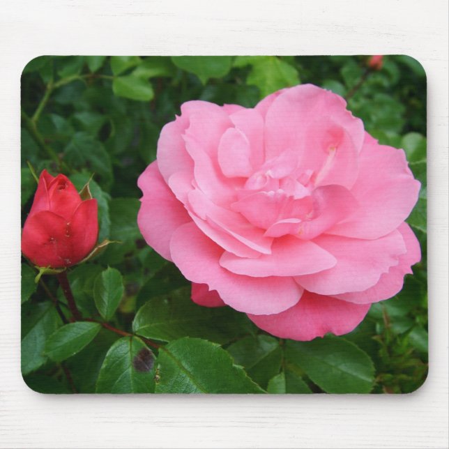 pink rose mouse pad (Front)