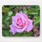 Pink Rose Mouse Pad
