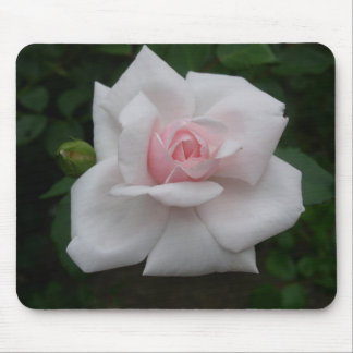 Pink rose mouse pad