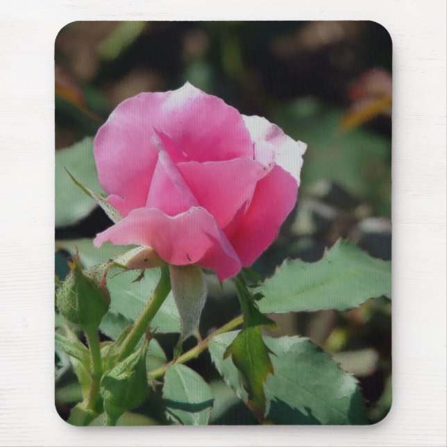 Pink Rose Mouse Pad (Front)
