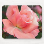Pink Rose Mouse Pad