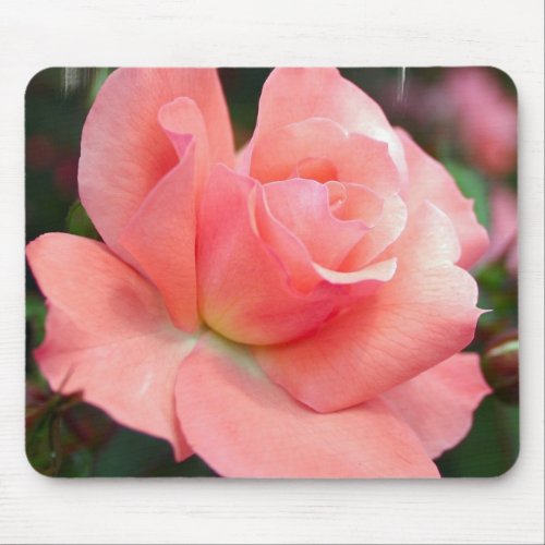 Pink Rose Mouse Pad
