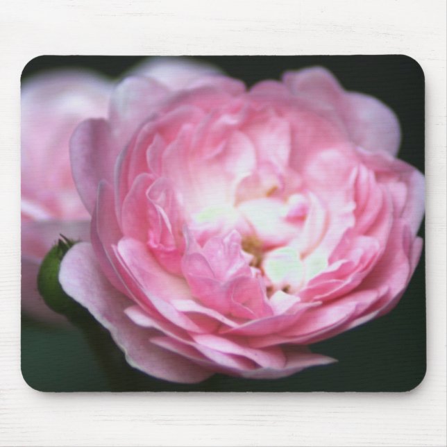 Pink Rose Mousepad! Mouse Pad (Front)