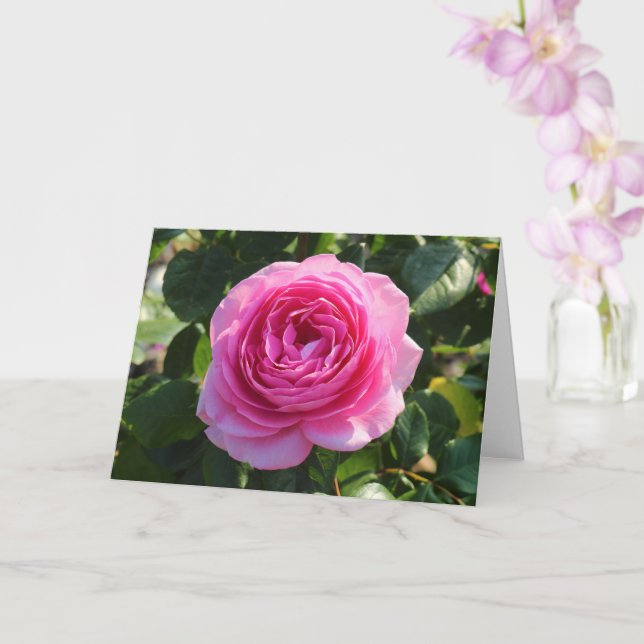 Pink Rose "Mum in a Million", Roath Park, Cardiff Card (Orchid)