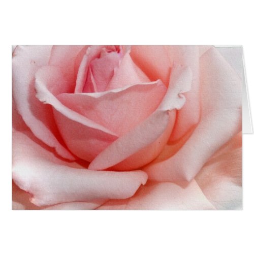 Pink Rose Note Cards