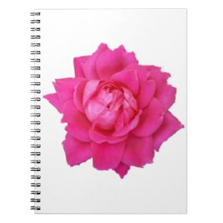 Pink Rose Notebook