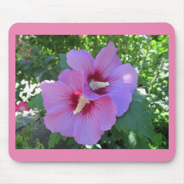 Pink Rose of Sharon Photo Mouse Pad (Front)