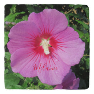 Pink Rose of Sharon Waterdrops Petals Name Trivet