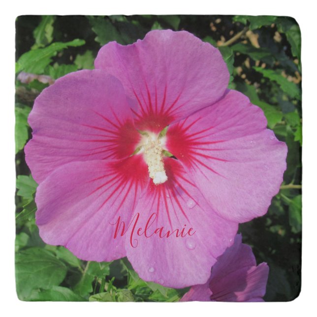 Pink Rose of Sharon Waterdrops Petals Name  Trivet (Front)
