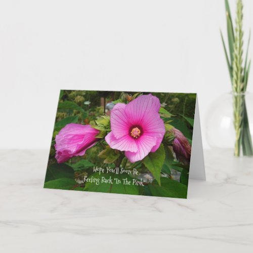 PINK ROSE OF SHARONWISHING YOU A SPEEDY RECOVERY CARD