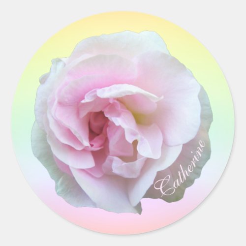 Pink Rose on Pastel Personalized Classic Round Sticker