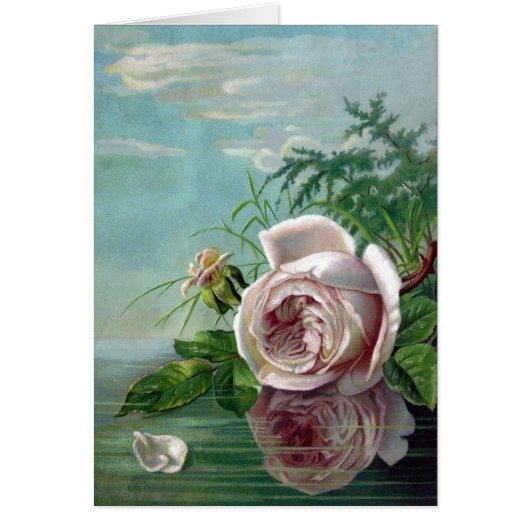 Pink Rose Over Water Cards (Front)