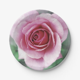Pink rose paper plates