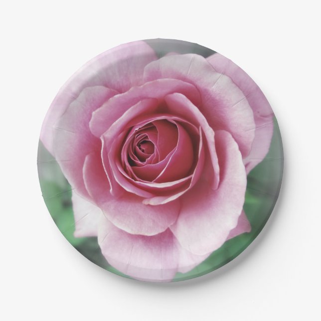 Pink rose paper plates (Front)