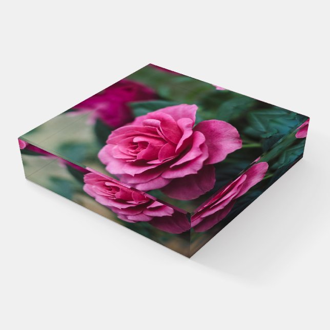 Pink Rose  Paperweight (Angled)